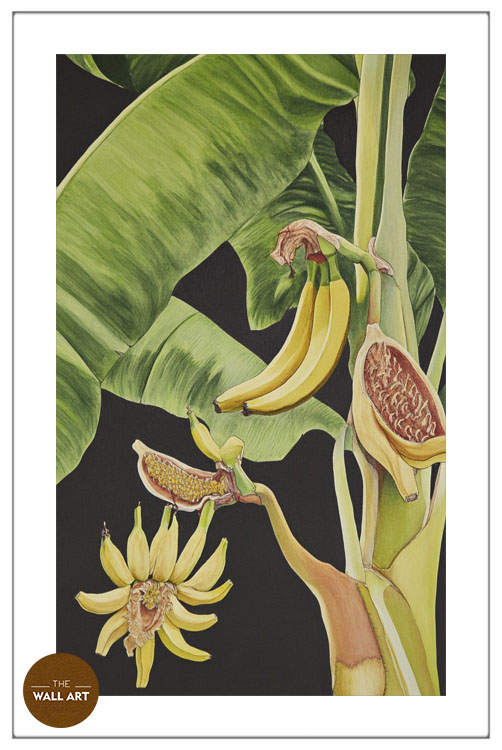 images/products/banana_tree_i/banana_tree I_WHITE_PWB.jpg